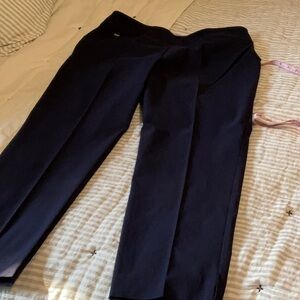 Counterparts Dark Navy Stretch Ankle Pants 14